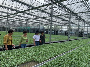 分享交流與實踐,探索農業新發展