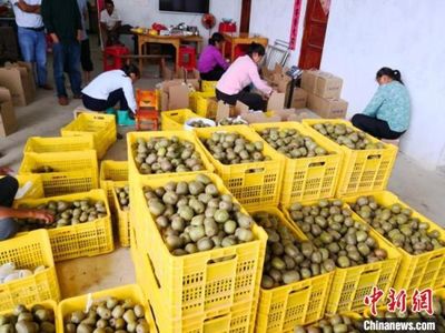 中南大學因地制宜產業扶貧&ldquo;造血&rdquo;富民