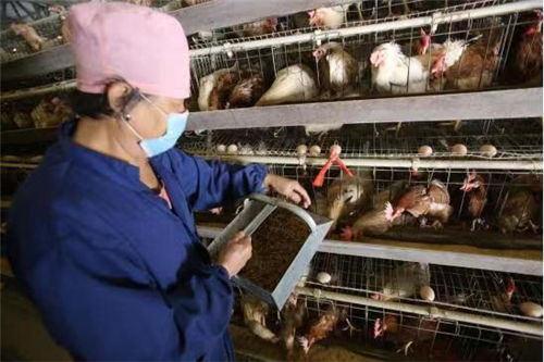 中國(guó)文明網(wǎng) 承德