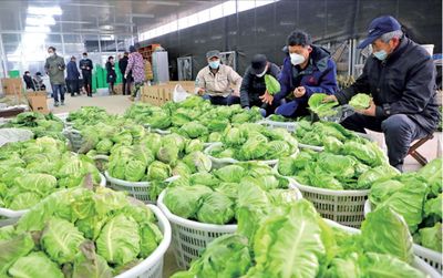 暖胃!暖心!這些浦東人將蔬果、大米、愛(ài)心餐送到一線(xiàn)工作者和需要的人手中&hellip;