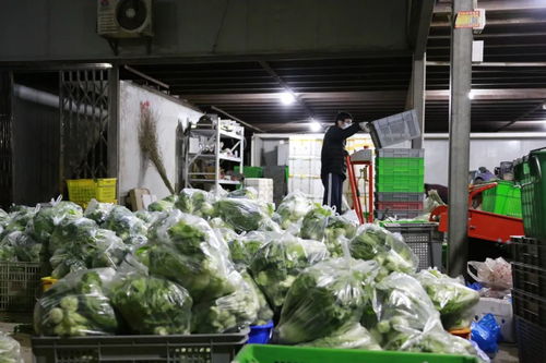 嘉定戰(zhàn) 疫 十二時(shí)辰,分秒必爭(zhēng)