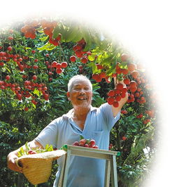 果樹(shù)也玩 私人訂制