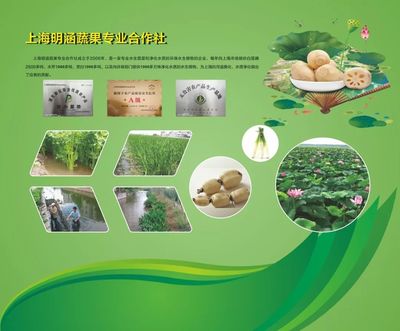 【周浦要聞】農博會來了!周浦農產品超有料!這個周末約不約?