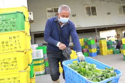 搶收搶種、調(diào)配蔬菜!他們正全力保障市場供應