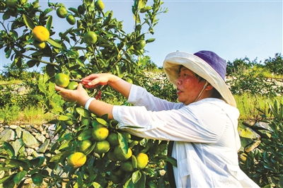 寧波日報社數(shù)字報刊平臺