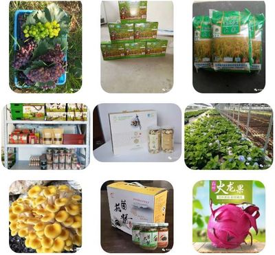 最后幾天!價值一百元嘉賓券領取倒計時啦!