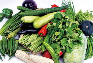 舌尖上的扶貧 那些你身邊的南部農特產品