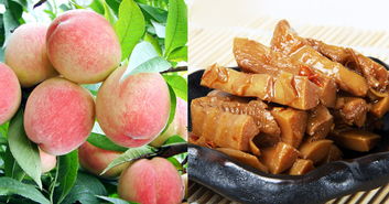 奉化市怡方果蔬專業合作社