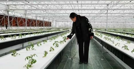 &ldquo;問津&rdquo;故地美,&ldquo;星谷&rdquo;繪新篇