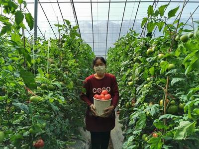 &ldquo;聊&middot;勝一籌&rdquo;太霸氣!區域品牌農產品闖市場年銷量超百億元