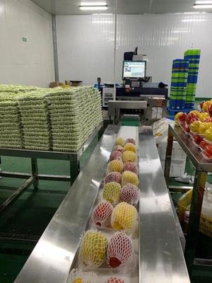 長勢好、價格穩,春節期間青浦市民"菜籃子"豐盛實惠