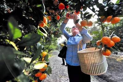 端午三天小長假,好玩的全在松江.