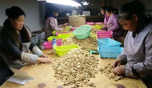 致富不忘本堅守初心助脫貧,她熱心公益事業的身影真美