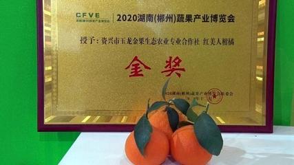 2020湖南(郴州)蔬果產業博覽會閉幕 資興農副產品現場交易額達1260萬元
