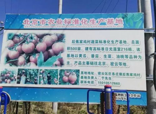 2018年北京農業好基地丨北京密聯益果蔬種植專業合作社