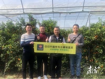農超對接簽訂十年之約!三水助郁南平臺鎮沙糖桔挺進大灣區市場