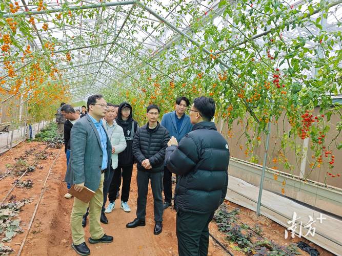 政企協聯動共謀廣東蔬菜產業高質量發展
