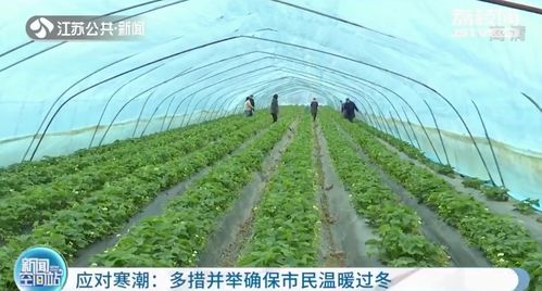 江蘇全省大幅降溫 各地多措并舉確保溫暖過冬