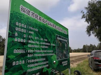 平潭:區農業農村局開展2019年省級優質農產品(蔬菜)標準化示范基地項目驗收