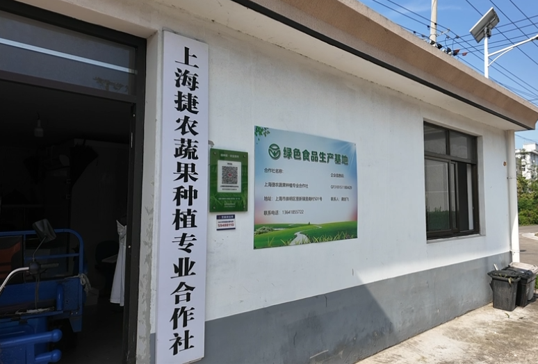 崇明蘆穄&ldquo;搶鮮&rdquo;上市!