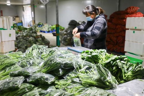 您的農產品 快遞 即將送達,請注意查收