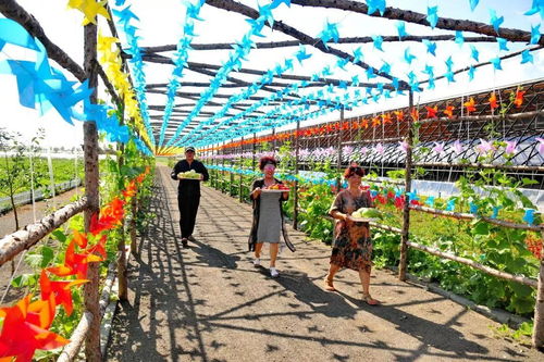 改革開放40年 把 九里邨 系列產品推向全國