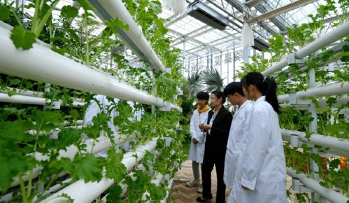 江陵首次 喜得工程建設 楚天杯 獎