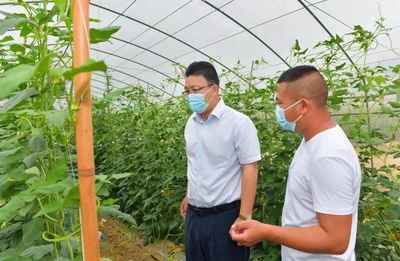 謝文華深入轄區調研蔬果專業合作社發展情況