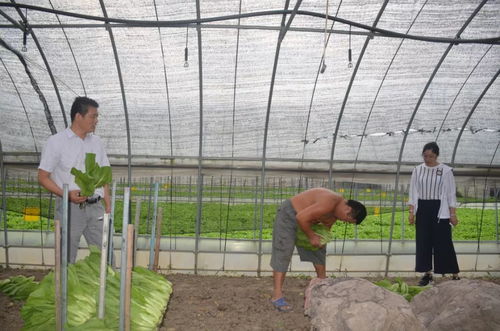 村官的走訪路 讓美麗鄉村插上特色農業的翅膀