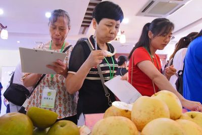 嘉定地產水果榮膺佳績，優質產品免費回饋市民