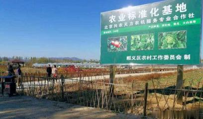 純天然的蔬果盛宴 蔬果專業合作社的魅力