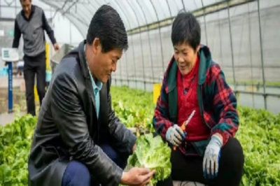雙創帶頭人丨上海春昌蔬果專業合作社副理事長趙世豪 引領蔬果產業創新之路
