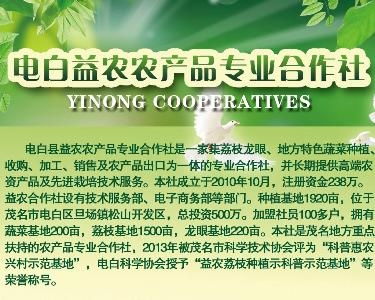 電白縣益農農產品專業合作社 蔬果產業發展的新引擎