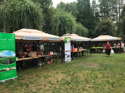 線上線下創新農業發展，“品牌化”激活鄉村振興新動能——以蔬果專業合作社為例