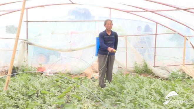 讓百姓吃上放心西瓜——平原“北侯西瓜”上市先過“檢驗(yàn)”關(guān)