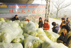 商報(bào)社區(qū)服務(wù)大篷車“年貨直通車”開進(jìn)慈溪，蔬果專業(yè)合作社為居民送上新鮮年貨