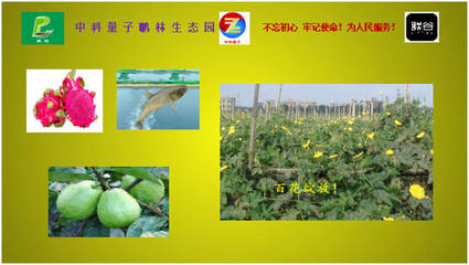 聯(lián)谷與中科量子鵬林生態(tài)園強(qiáng)強(qiáng)聯(lián)手，蔬果專業(yè)合作社譜寫民族品牌新篇章