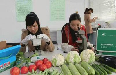 奏響農(nóng)房改善“奮進(jìn)曲” 繪就全面小康“風(fēng)景線”——記蔬果專業(yè)合作社的振興之路