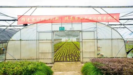 跑出鄉(xiāng)村振興“加速度”——“春昌蔬果”生態(tài)循環(huán)種植助力黨建引領(lǐng)下的鄉(xiāng)村振興道路