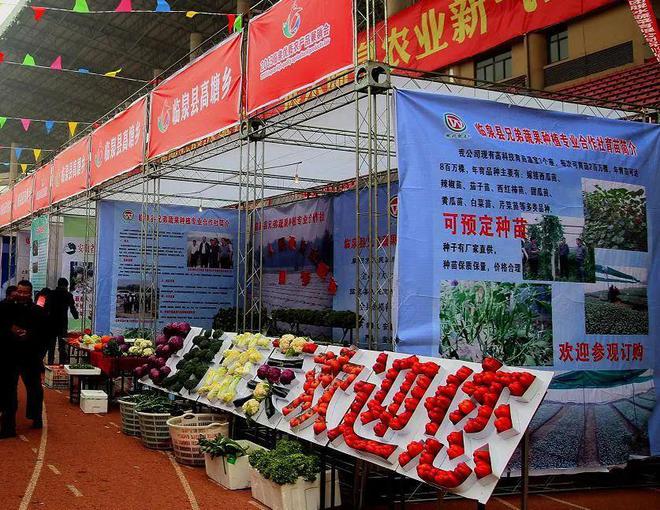 下活“特色棋” 臨泉蔬果專業(yè)合作社的產(chǎn)業(yè)振興新路徑