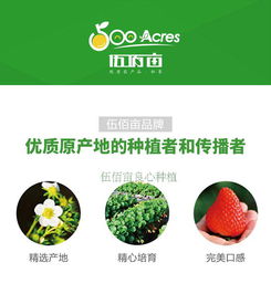 丹東市伍佰畝果蔬專業(yè)合作社——優(yōu)質(zhì)草莓批發(fā)采購指南